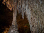 americathroughrickseyes011002.jpg