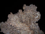 americathroughrickseyes011003.jpg