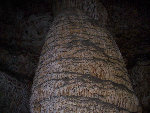 americathroughrickseyes011018.jpg