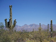 americathroughrickseyes013001.jpg