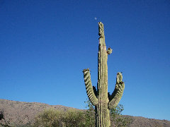 americathroughrickseyes013002.jpg
