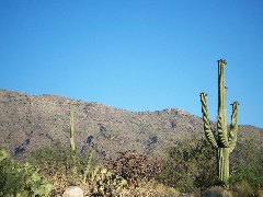 americathroughrickseyes013003.jpg
