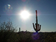 americathroughrickseyes013010.jpg