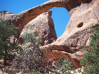 americathroughrickseyes047006.jpg